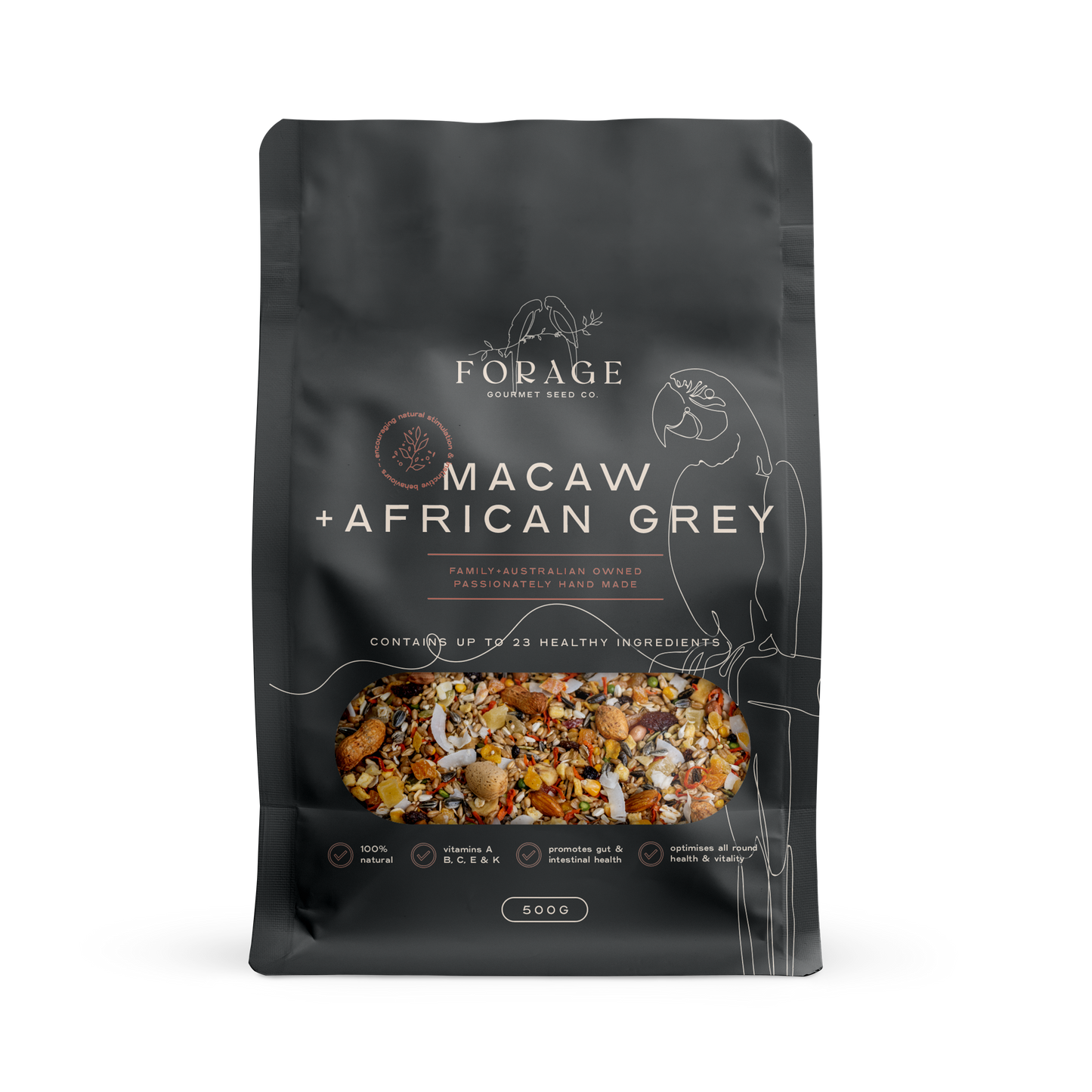 Guacamayo y loro gris africano