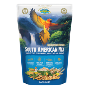 South American Mix