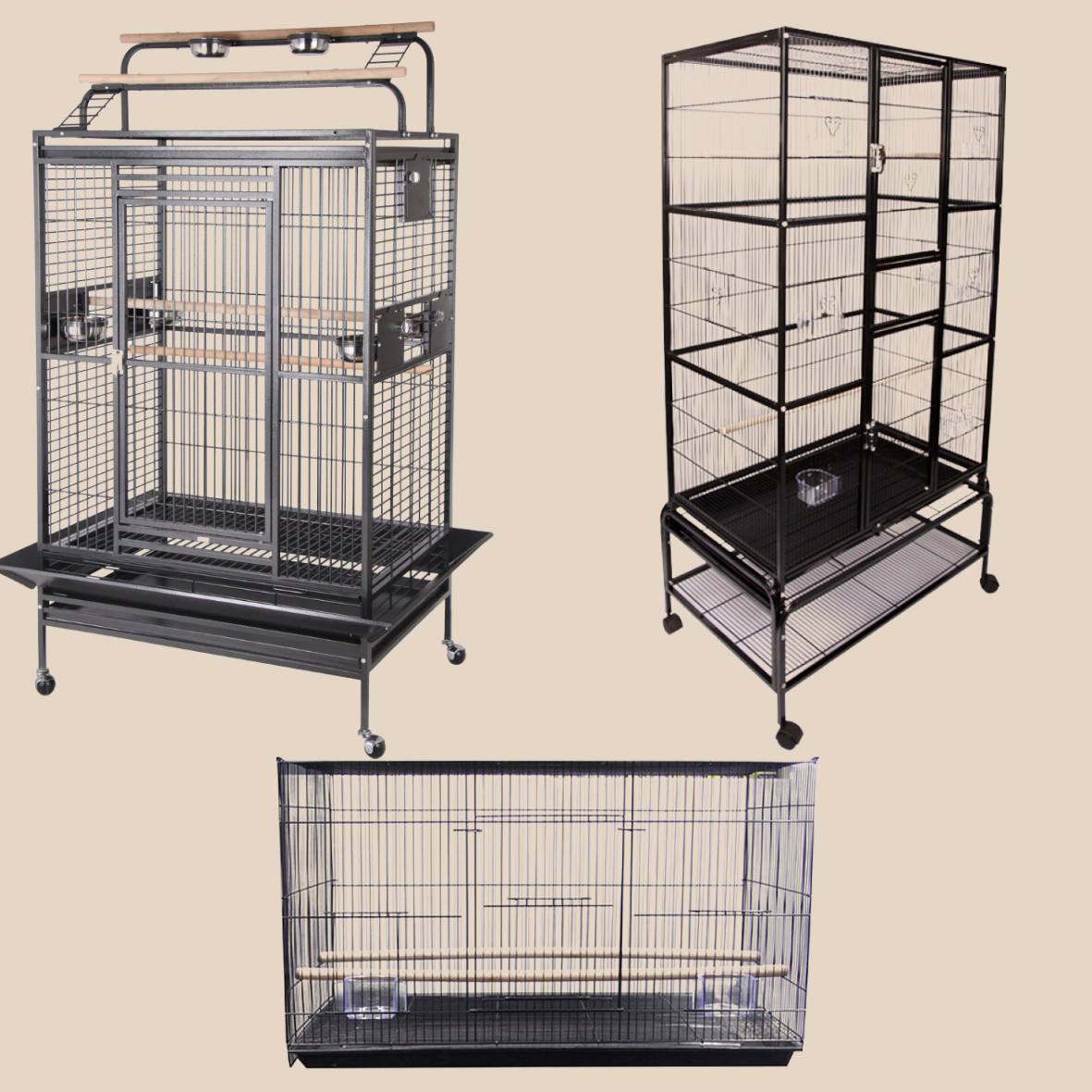 Bird Cages & Aviaries