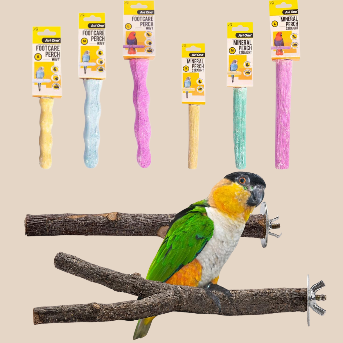 Bird Perches