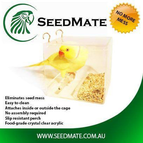 Bird Feeder