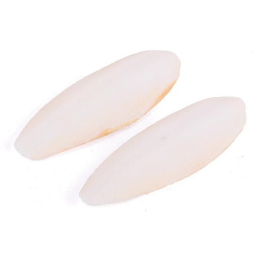 Cuttlebone