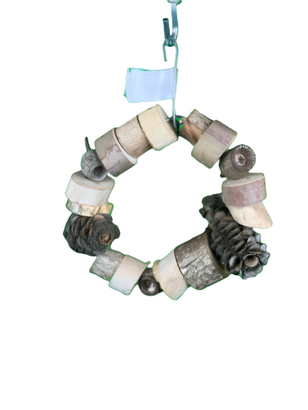Budgie Ring