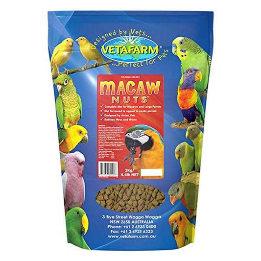 Macaw Nuts