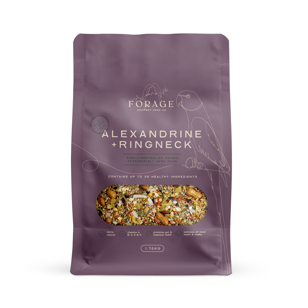 Forage Gourmet – Forage Gourmet Seed