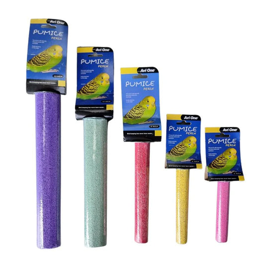 Pumice Perch