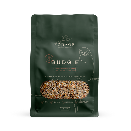 Budgie