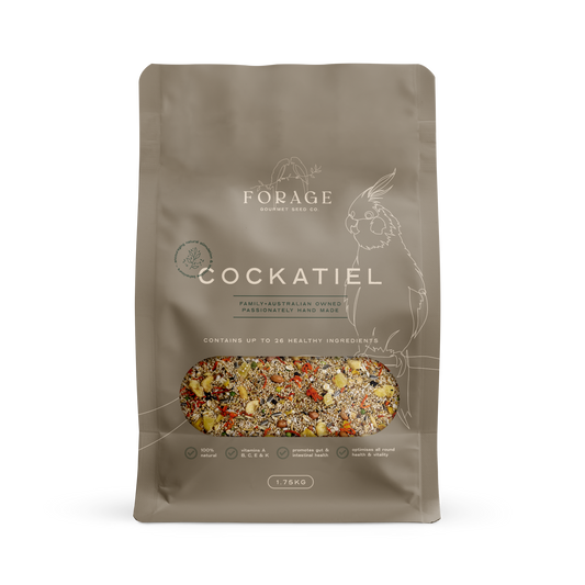 Cockatiel