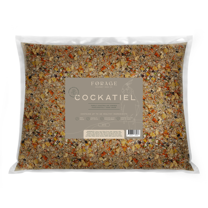 Cockatiel