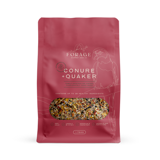 Conure & Quaker