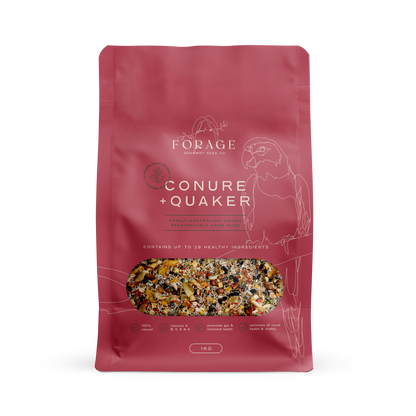 Conure y Quaker