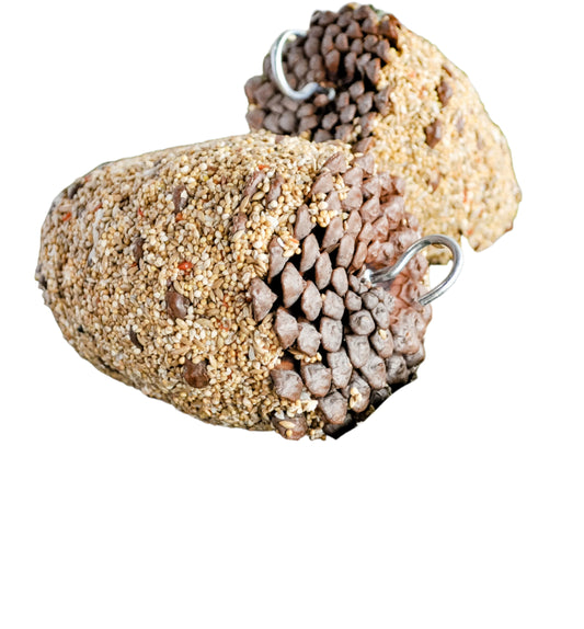 Pinecone