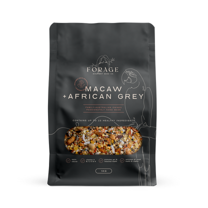 Macaw & African Grey