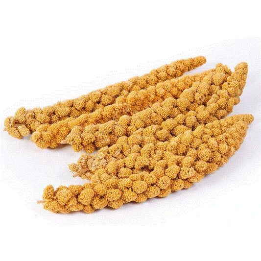 Millet Spray