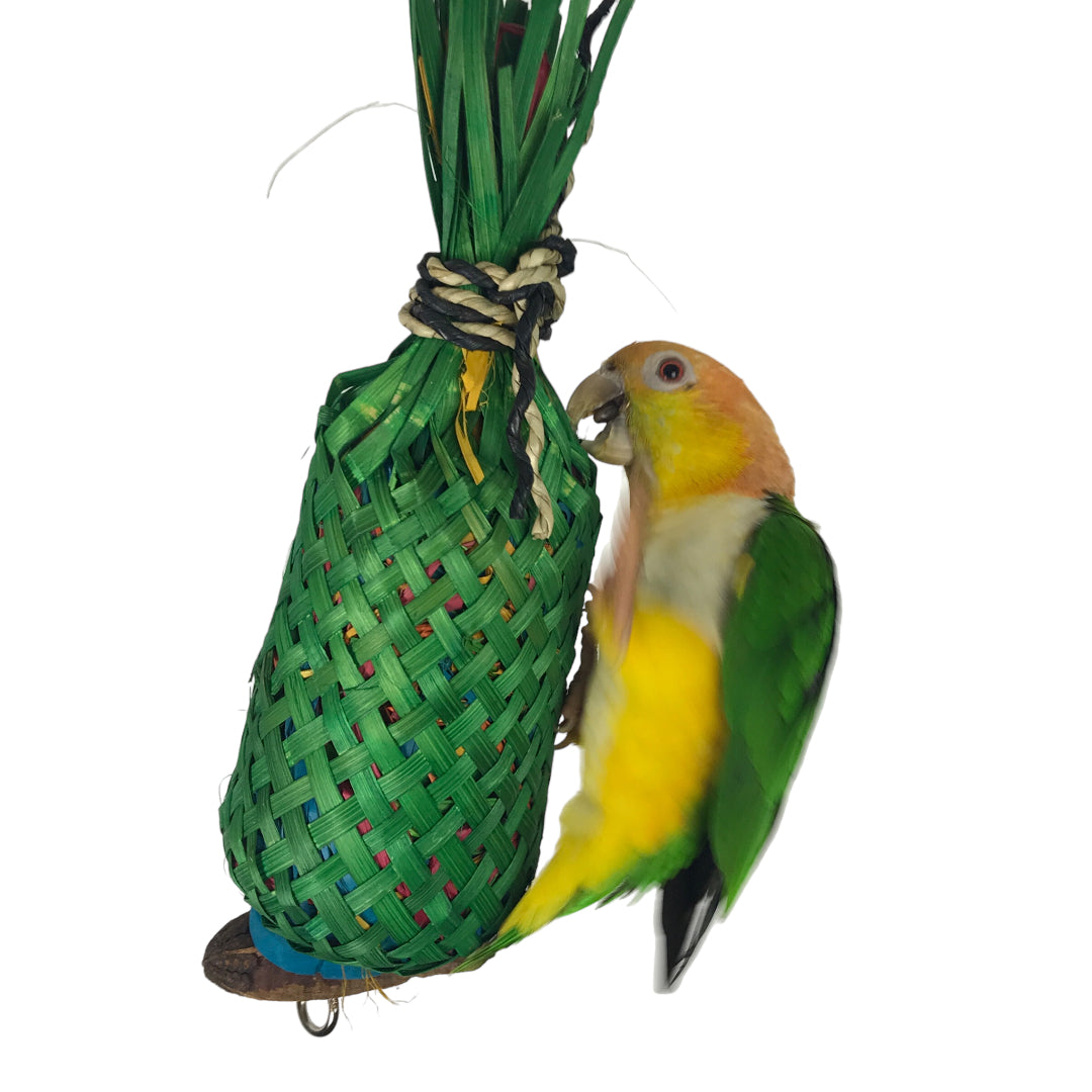 Pineapple Forage