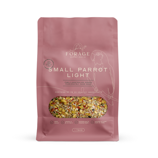 Small Parrot Light